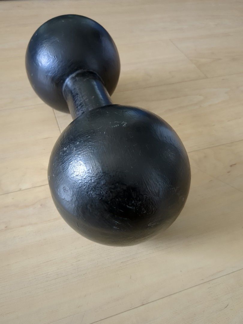 Globe dumbbells 2025