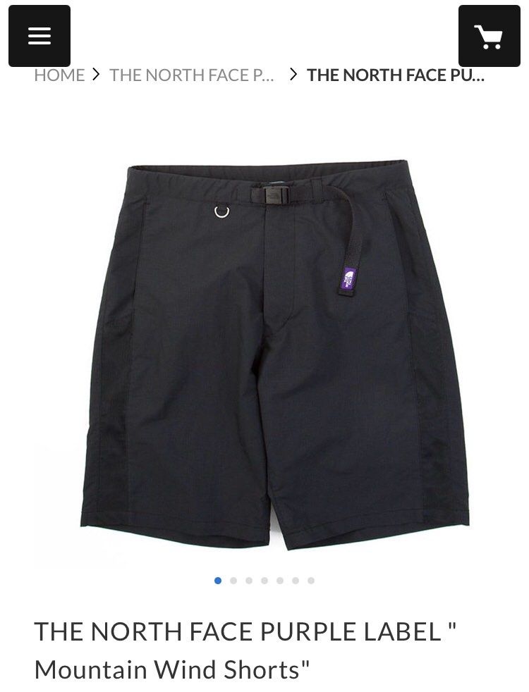 THE NORTH FACE PURPLE LABEL Ripstop Classic Mountain Wind Shorts