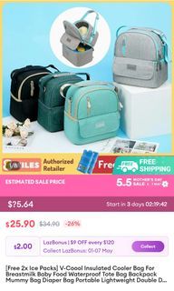 V cool insulated bag with 2 ice pack