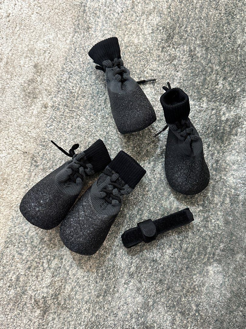 Yeezy dog shoes clearance