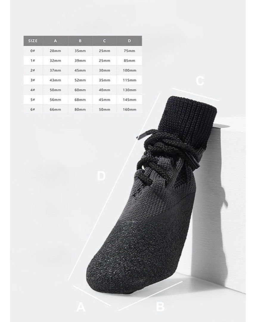 Yeezy hotsell dog shoes