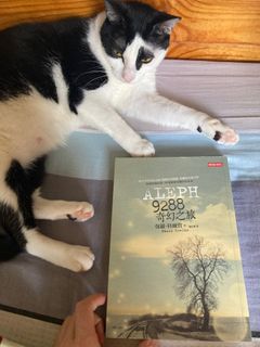 （分類：）位於 。 由 kkrislaw 提交（商品編號 1231099085，圖片 1）。簡介： 。