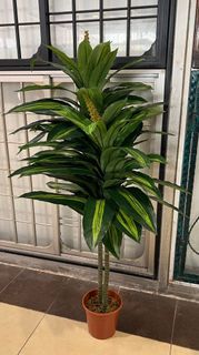 Artificial plants