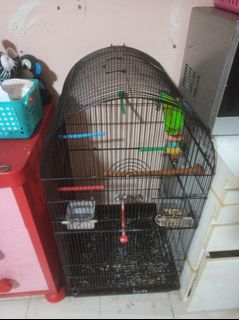 (Category: ) located in . Submitted by ratio8 (Listing ID 1231221749, Image 1). Description: .