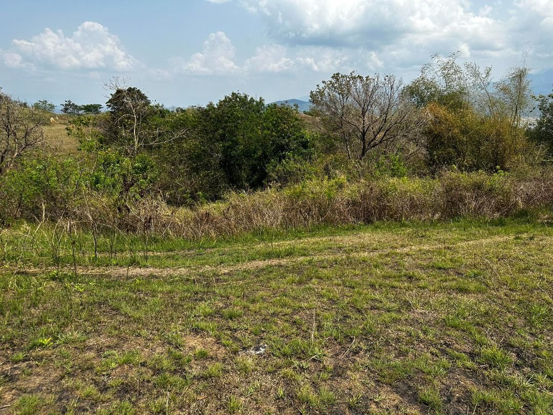 FOR SALE VACANT LOT PANTABANGAN RIZAL on Carousell