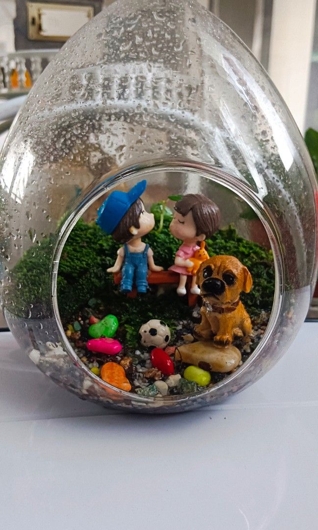 Glass dome, Furniture & Home Living, Gardening, Pots & Planters on