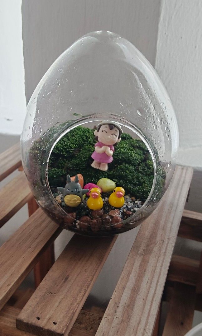 Glass dome, Furniture & Home Living, Gardening, Pots & Planters on