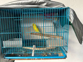 (Category: ) located in . Submitted by pidot (Listing ID 1231191295, Image 1). Description: .