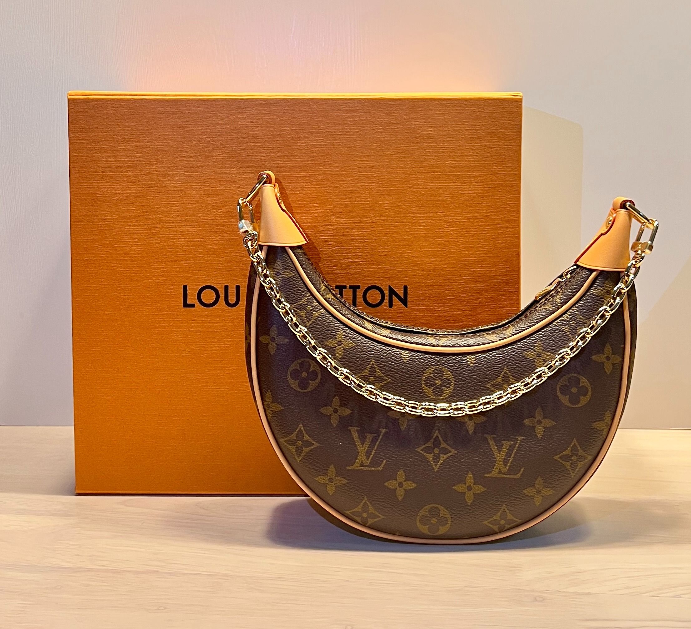 Louis Vuitton Loop Hobo, Luxury, Bags & Wallets on Carousell
