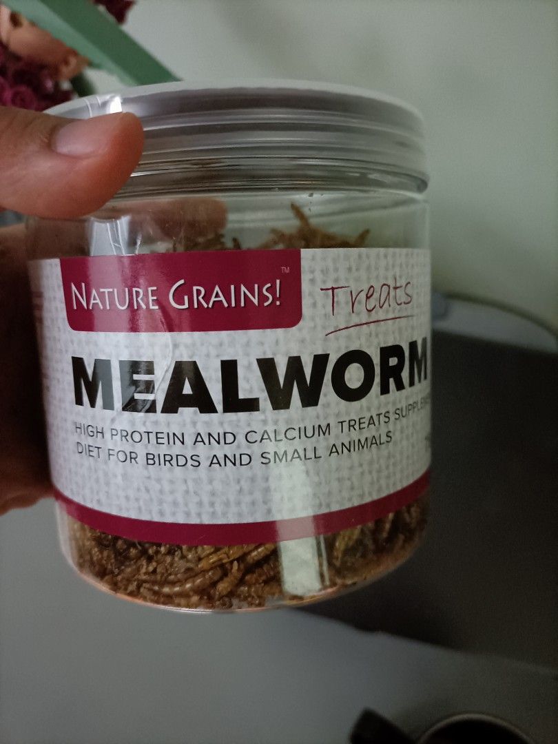 Mealworms, Pet Supplies, Pet Food on Carousell