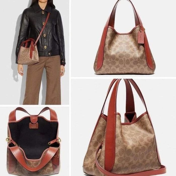 Buy Coach Hadley Hobo Bag 21 In Colorblock, Brown Color Women