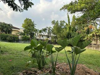 Residential lot for sale in Valle Verde 6 Pasig City