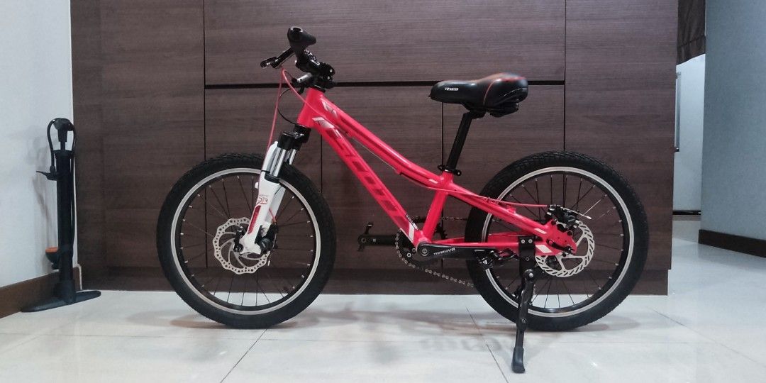 Scott scale jr 20 inch hot sale