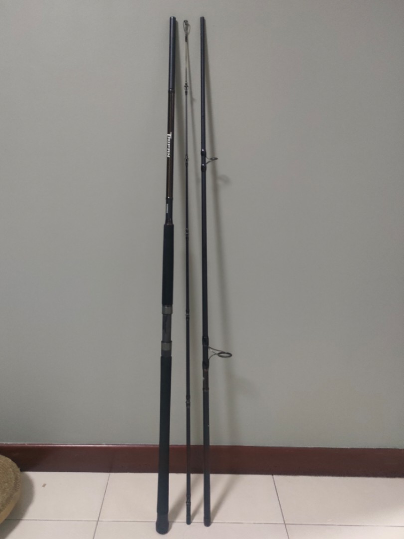 12 ft fishing rod, Sports Equipment, Fishing on Carousell