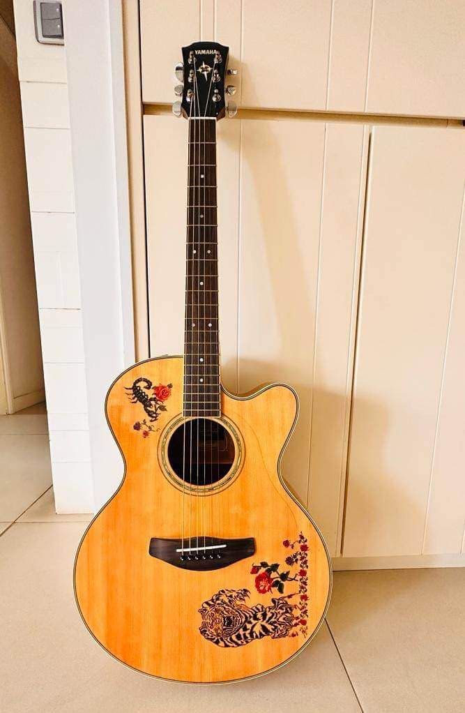 Acoustic electric YAMAHA compass series CPX 500 iii, 興趣及遊戲