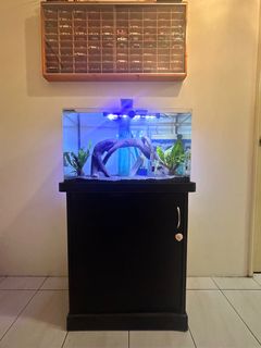 (Category: ) located in . Submitted by 4idyr4mli (Listing ID 1231385030, Image 1). Description: .