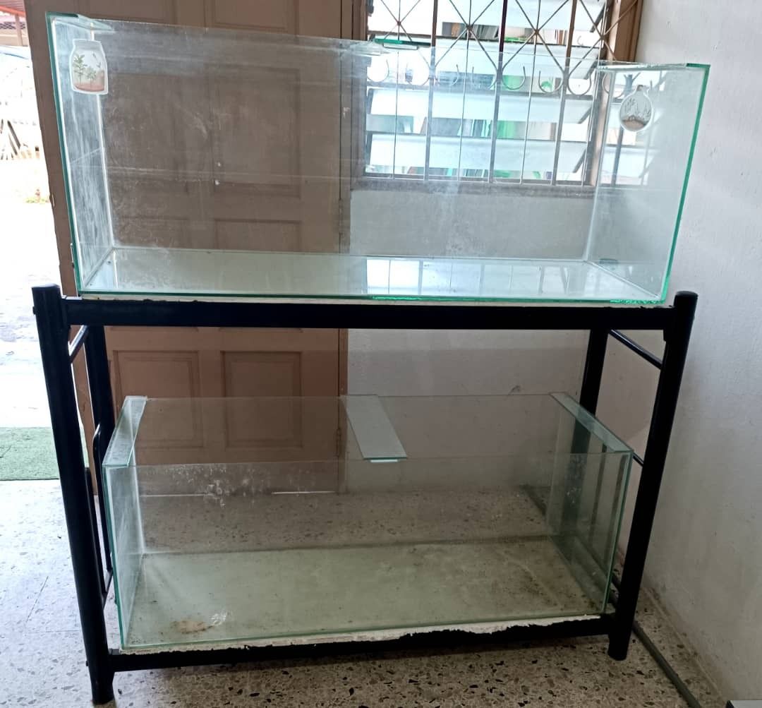 Aquarium Glass Tank, Pet Supplies, Homes & Other Pet Accessories on