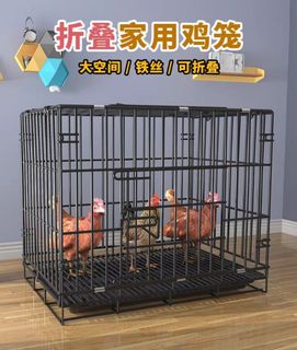 (Category: ) located in . Submitted by goodypetsupplies (Listing ID 1231305556, Image 1). Description: .