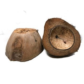 Coconut Husk Bunot Multipurpose  Bao Manual Floor Polisher