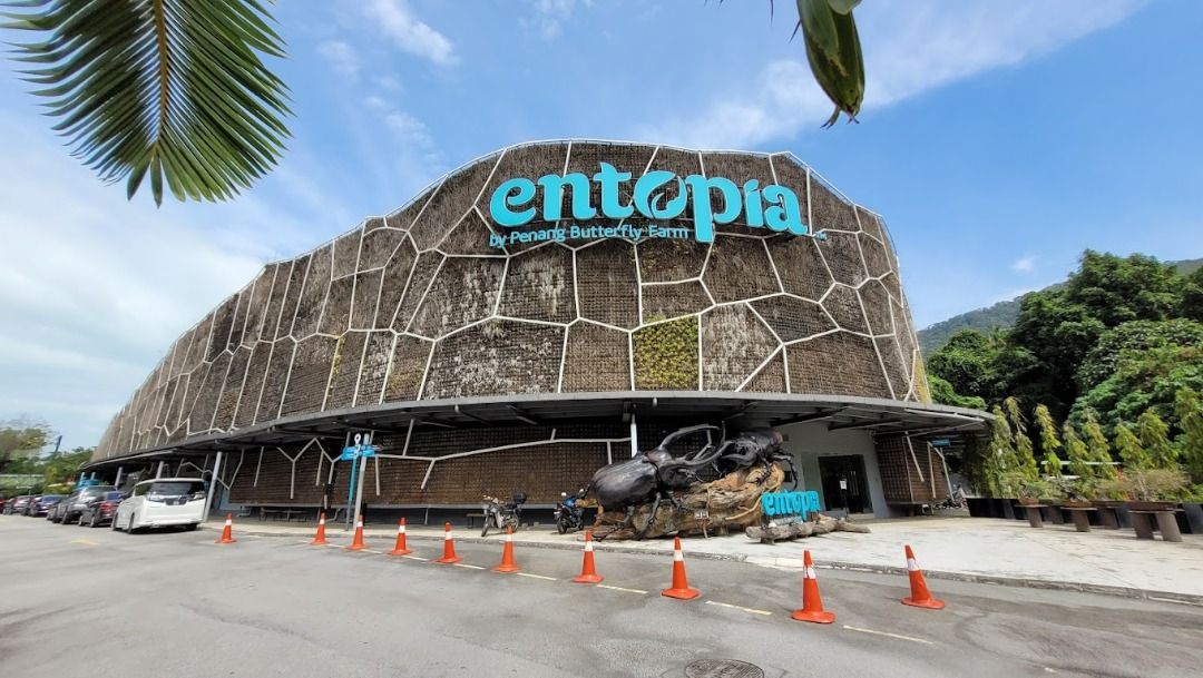 Entopia by Penang Butterfly Farm E-Ticket, Tickets & Vouchers, Flights ...