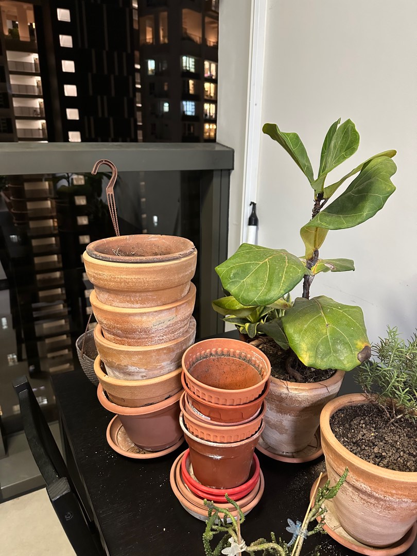FREE Terracotta pots Queenstown, Furniture & Home Living, Gardening, Pots & Planters on Carousell