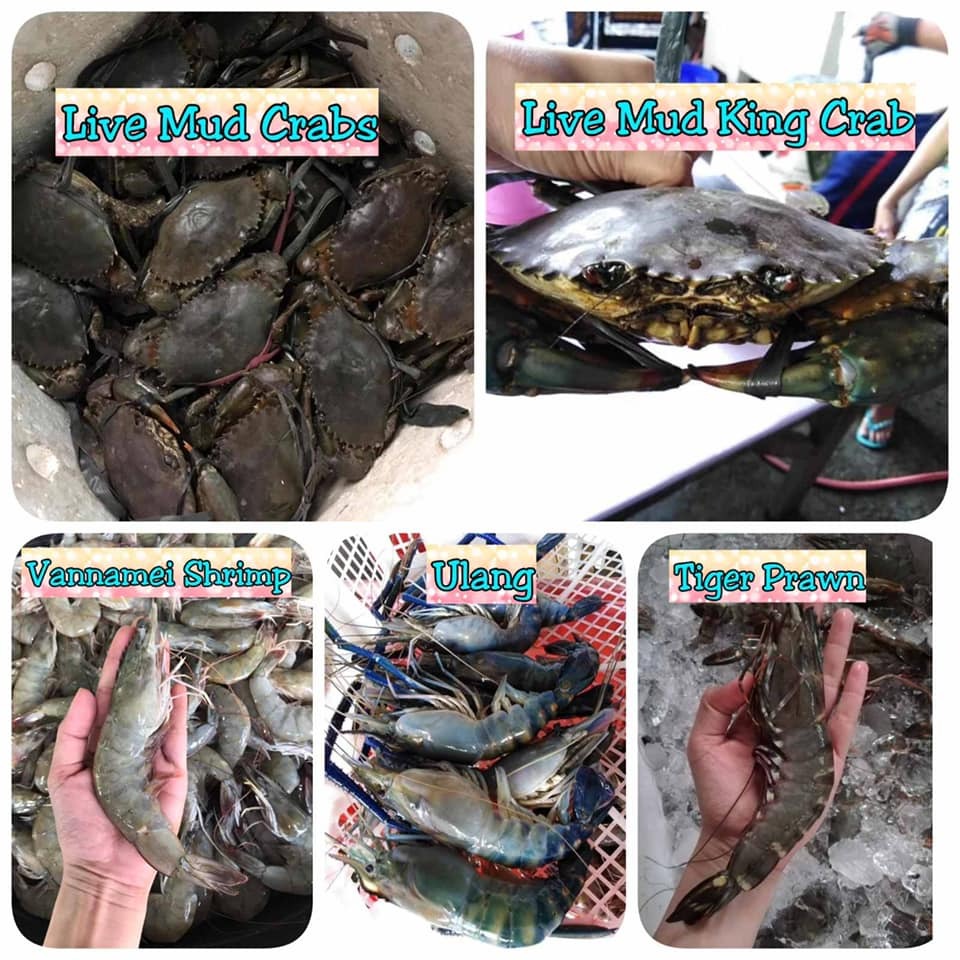 Fresh Seafood delivery of Ulang Live Crab Tiger Prawn Vannamei Shrimp on Carousell