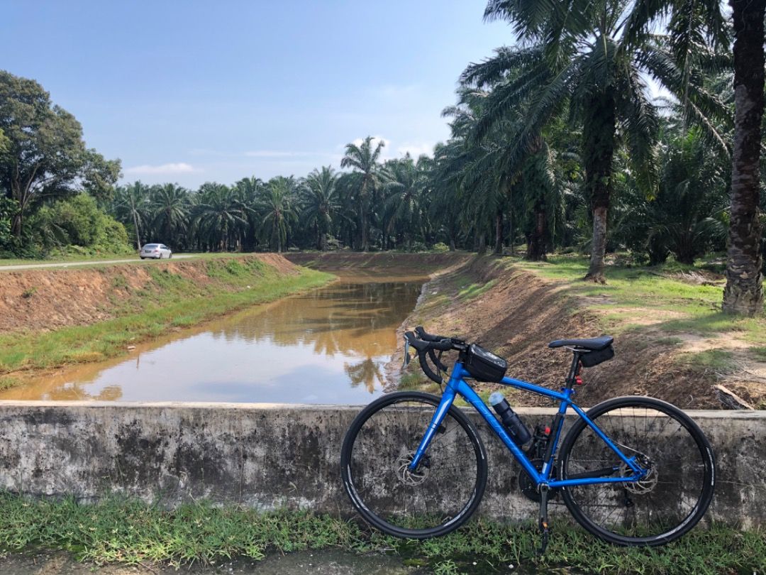Fuji sportif 1.5 hotsell price