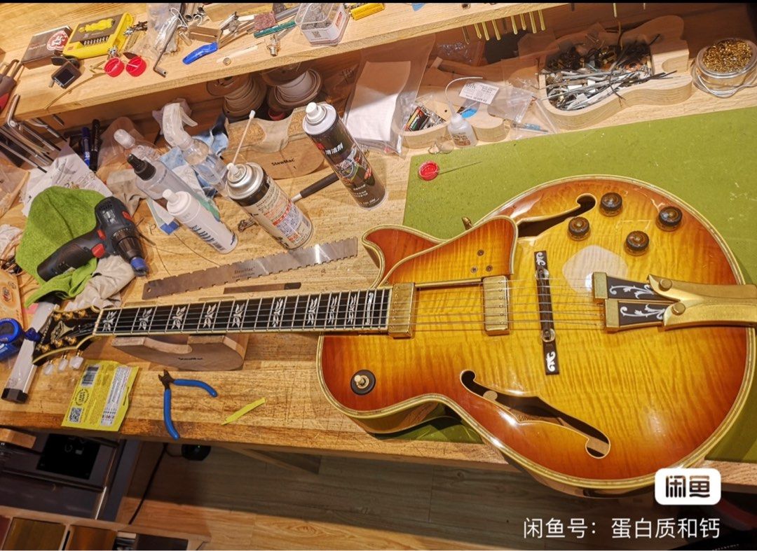Archtop on sale guitar vst