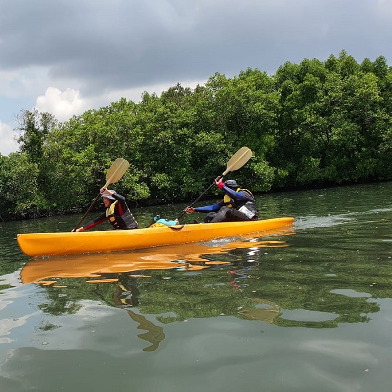 Mangrove Kayaking Experience + Sunset Paddling (Pasir Ris Park), Sports