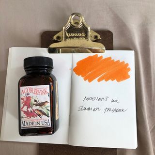 Noodlers ink summer tanager fountain pen ink