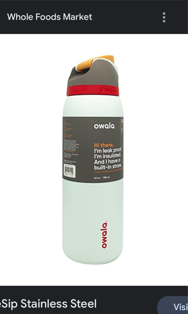 Owala FreeSip Boneyard Stainless Steel Water Bottle 32 oz