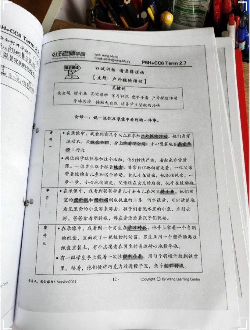 P6 PSLE Higher Chinese Wang Lao 3 hours notes, Hobbies & Toys, Books ...
