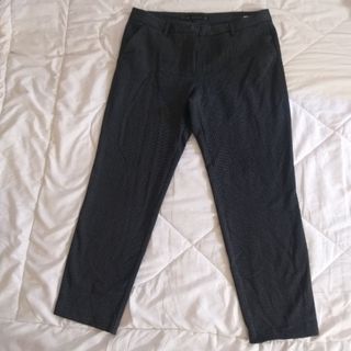Zara Basic Black Dress Pants with white polka dots