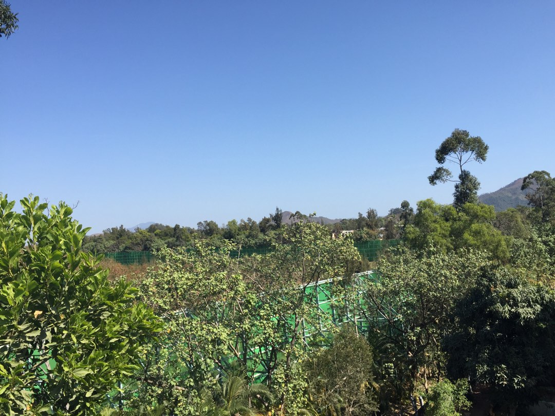 Self-owned California Garden, Near Mall, Quiet with Tree View, Single-side Building King, Practical 1016 sq.ft. ($14,000/sq.ft.), Sun Hung Kai HOUSE, Double Parking64076921317506112