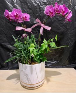 （分類：）位於 。 由 Greatbliss 提交（商品編號 1231483775，圖片 1）。簡介： 。