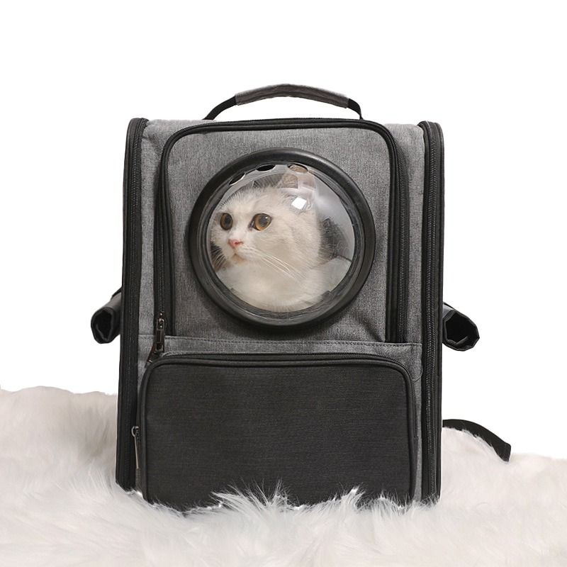 Astronaut hotsell bubble cat