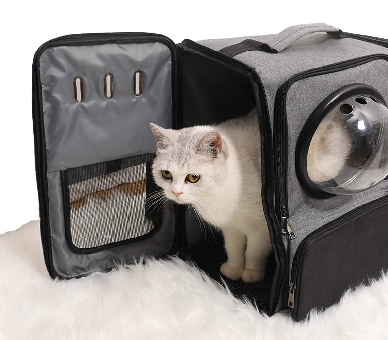 Cat Carrier Pet Backpack with Astronaut Bubble Non Cat Cage Condo Litter Pet Supplies Homes Other Pet Accessories on Carousell