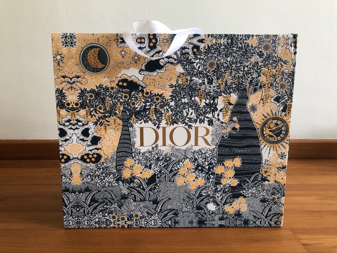 Christian dior gift discount bag