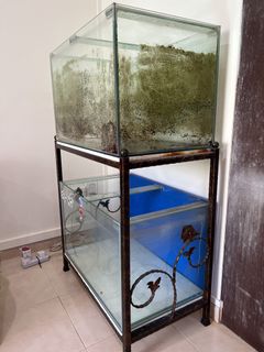 (Category: ) located in . Submitted by Ahhuaa (Listing ID 1231589745, Image 1). Description: .