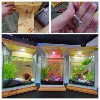 (Category: ) located in . Submitted by aokikiph (Listing ID 1231577533, Image 1). Description: .