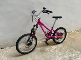 Funny 20” MTB junior bike. Also for adult