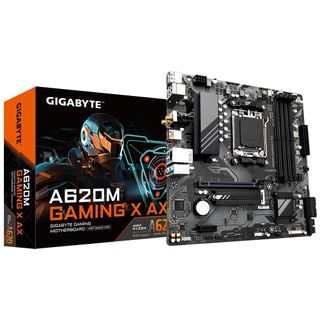 Raphael x AM5 x LGA1718 x EXPO RAM Collection item 1