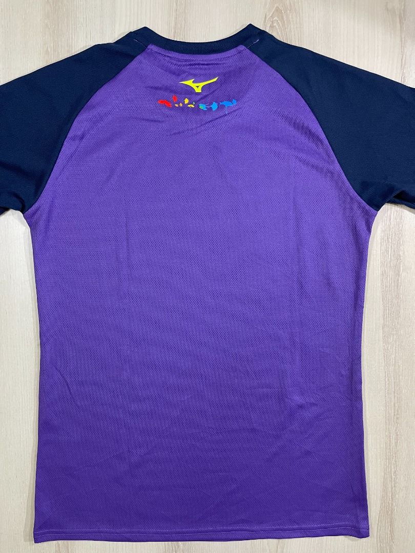 Mizuno 2017 Osaka Marathon Tee CS1 Used