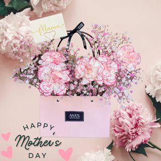 Mother's day Fresh Carnation Flowers