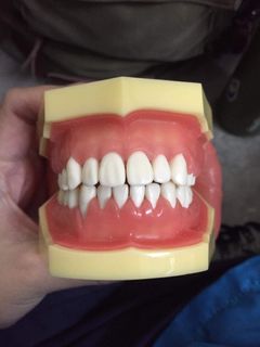(Category: ) located in . Submitted by beaa00 (Listing ID 1231596098, Image 1). Description: .