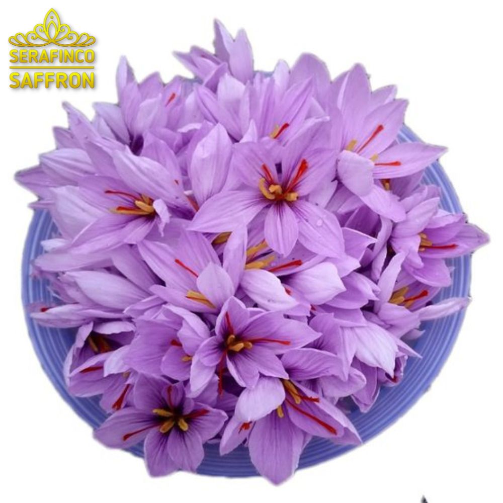 Singapore saffronSERAFINCO SAFFRONBest saffron in Singapore, Food