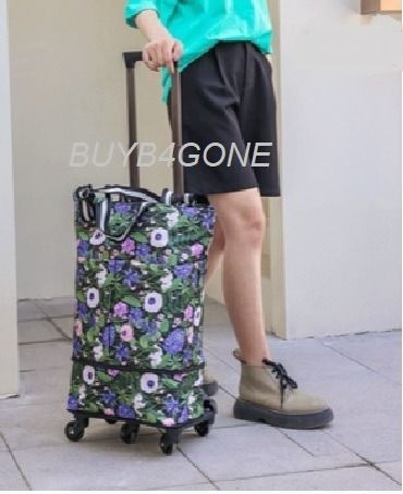 STYLISH SHOPPING TROLLEY WITH EXTENDABLE BAG SNOW FLAKE DESIGN