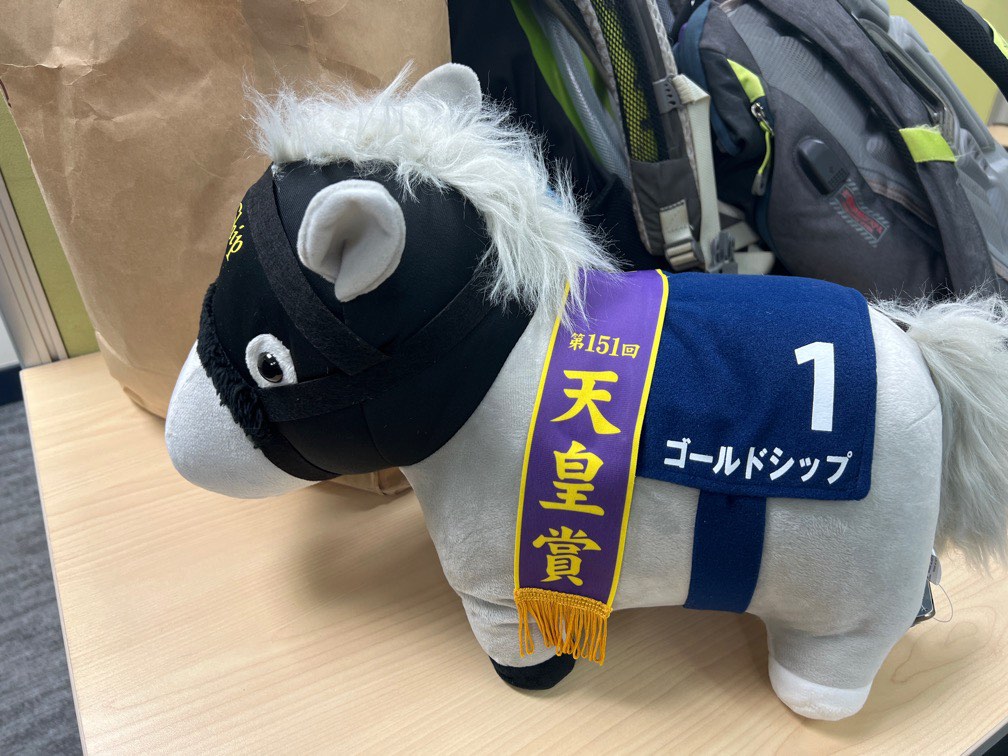 馬仔 日本賽馬 1號黃金船 最大size, 興趣及遊戲, 玩具 & 遊戲類 - Carousell