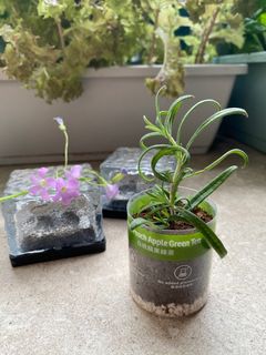 （分類：）位於 。 由 mori.iki 提交（商品編號 1231679769，圖片 1）。簡介： 。
