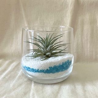 (Category: ) located in . Submitted by little.thing. (Listing ID 1231760959, Image 1). Description: .